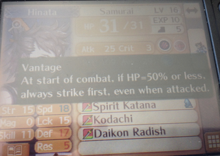 Illustration for article titled Tips For Playing Fire Emblem Fates: Conquest and Birthright